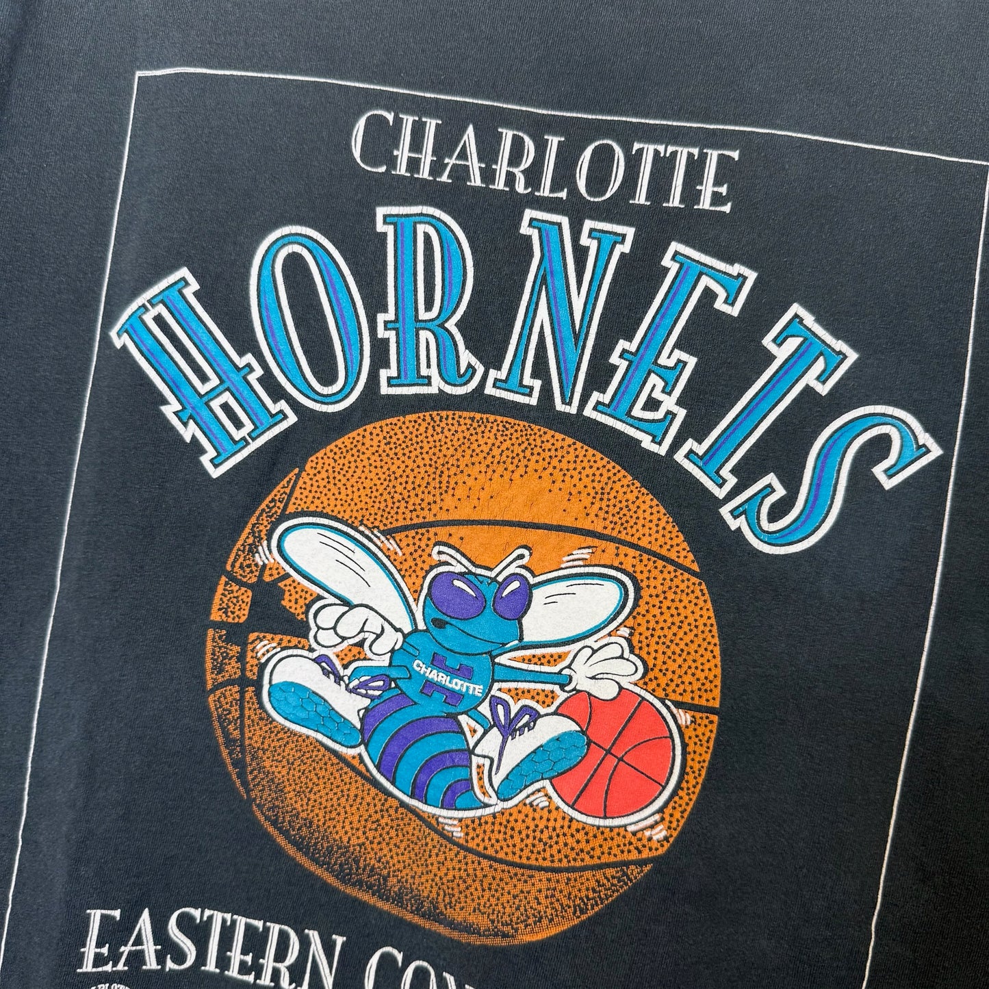 90s Charlotte Hornets NBA T-Shirt Sz XL (B2385)