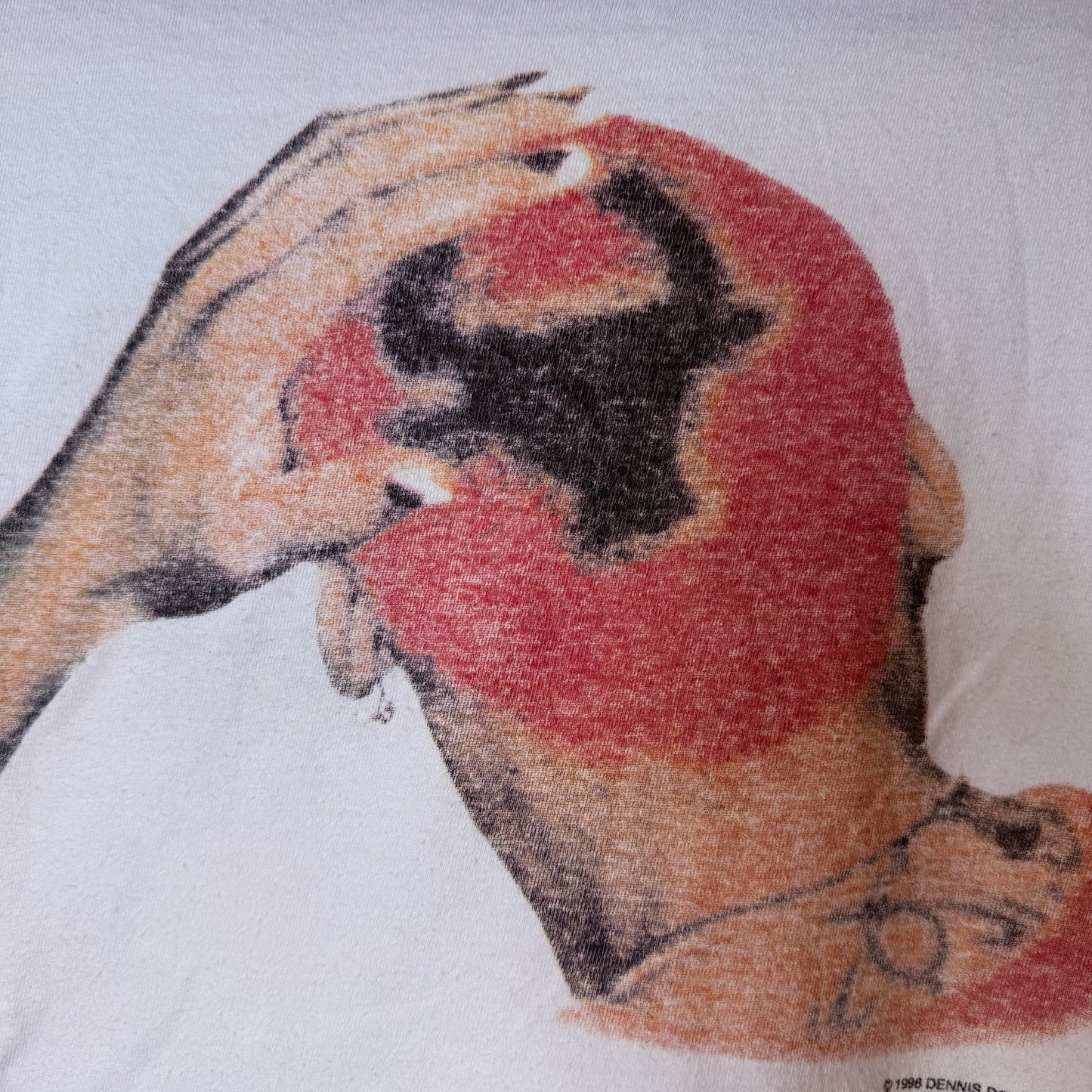 1996 Chicago Bulls Dennis Rodman NBA T-Shirt Sz M (B2350)