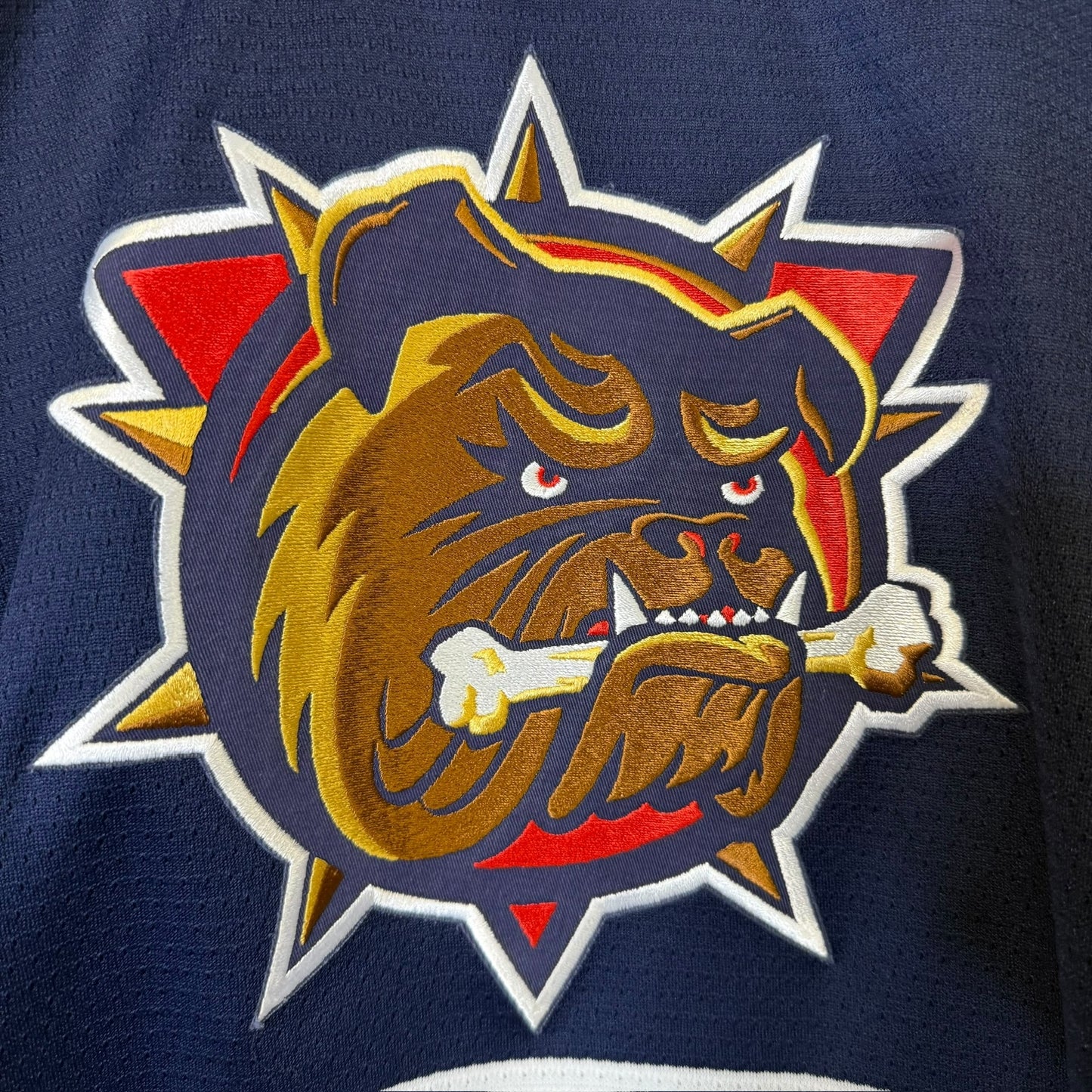2000s Hamilton Bulldogs AHL Hockey Jersey
