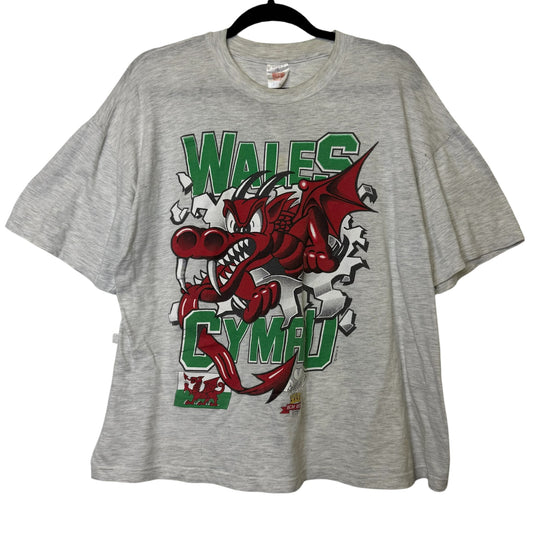 90's Wales Dragons Rugby T-shirt Sz XL (B1540)