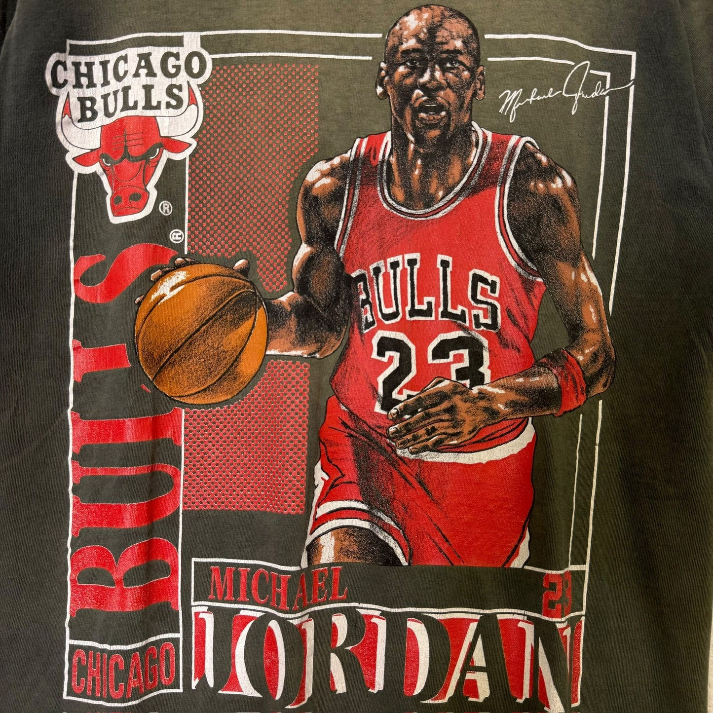 90s Michael Jordan Chicago Bulls NBA Nutmeg Player Card