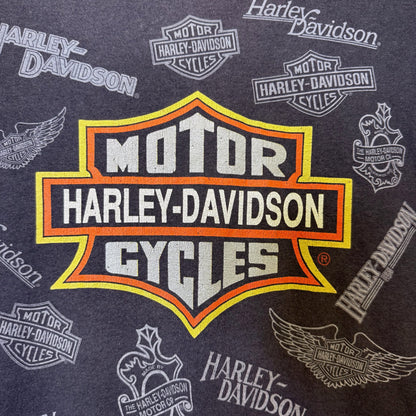 90's Harley Davidson T-Shirt Sz L (B2526)
