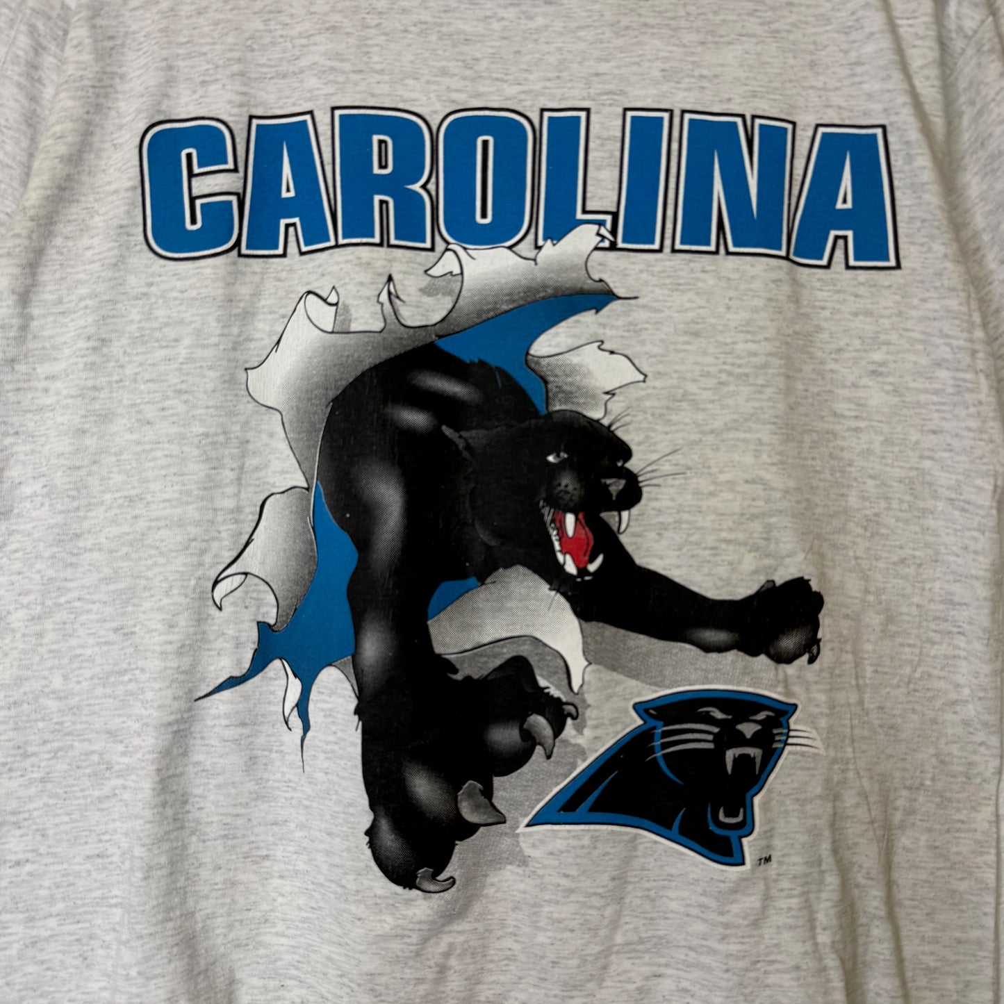 1993 Carolina Panthers NFL Nutmeg Breakthrough T-Shirt Sz L (B2085)