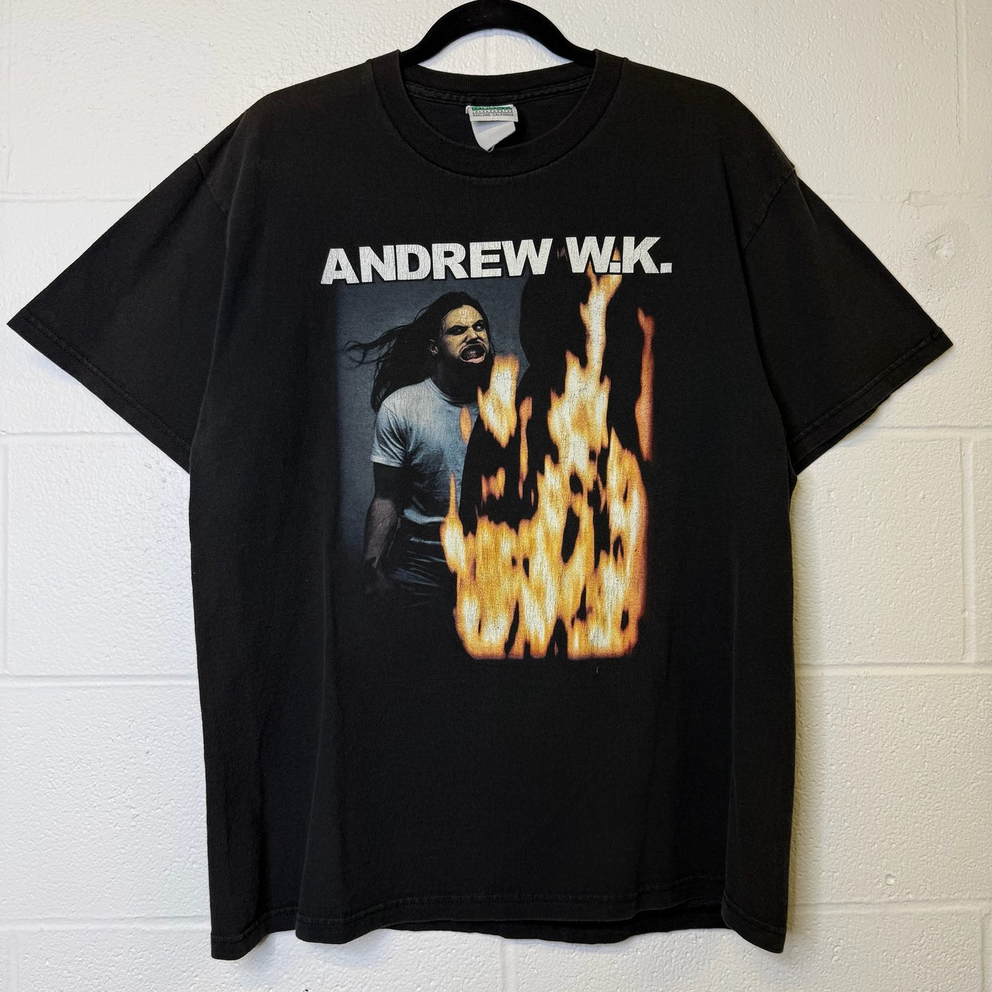 2000s Andrew WK T-Shirt Sz L (B2244)