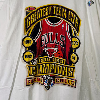1996 Chicago Bulls NBA T-Shirt Sz L (B1629)
