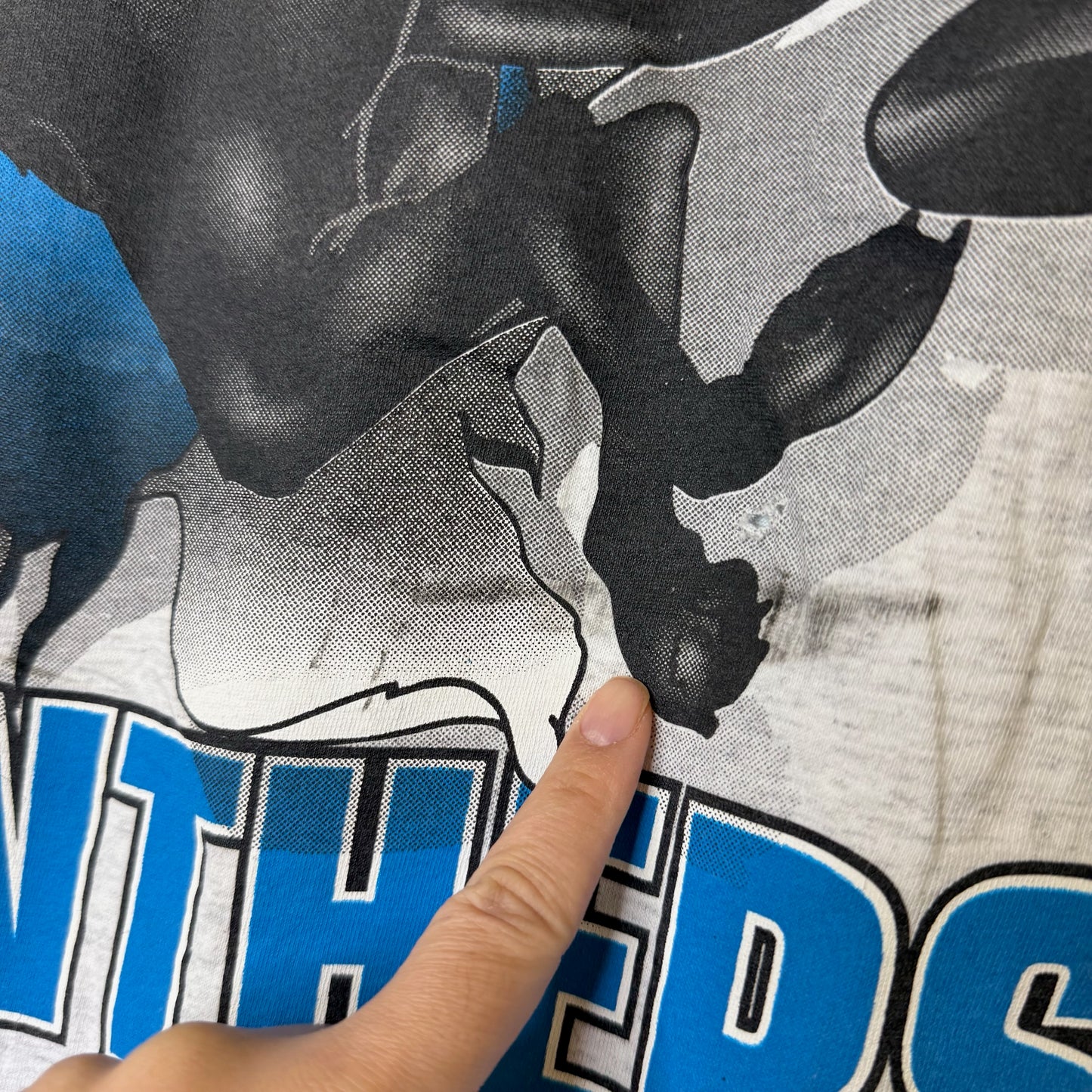 1993 Carolina Panthers NFL Nutmeg Breakthrough T-Shirt Sz L (B2085)