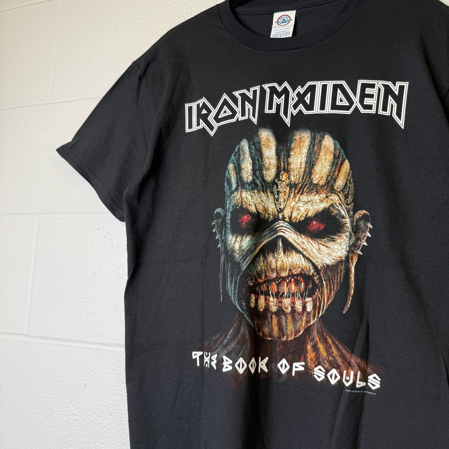 2015 Iron Maiden Book Of Souls Tour T-Shirt Sz M (A2048)