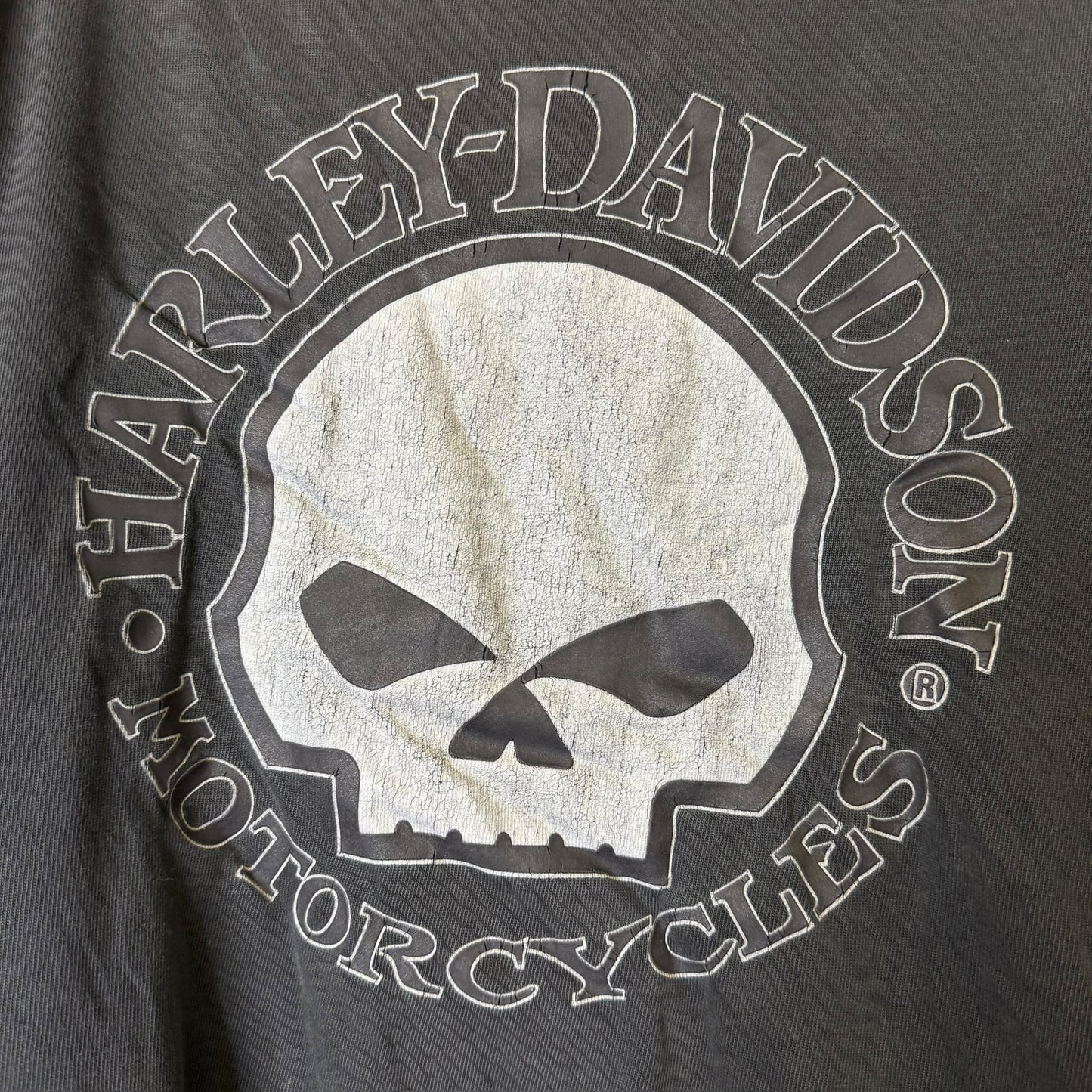 2000s Harley Davidson Skull Long Sleeve Sz L (B1931)