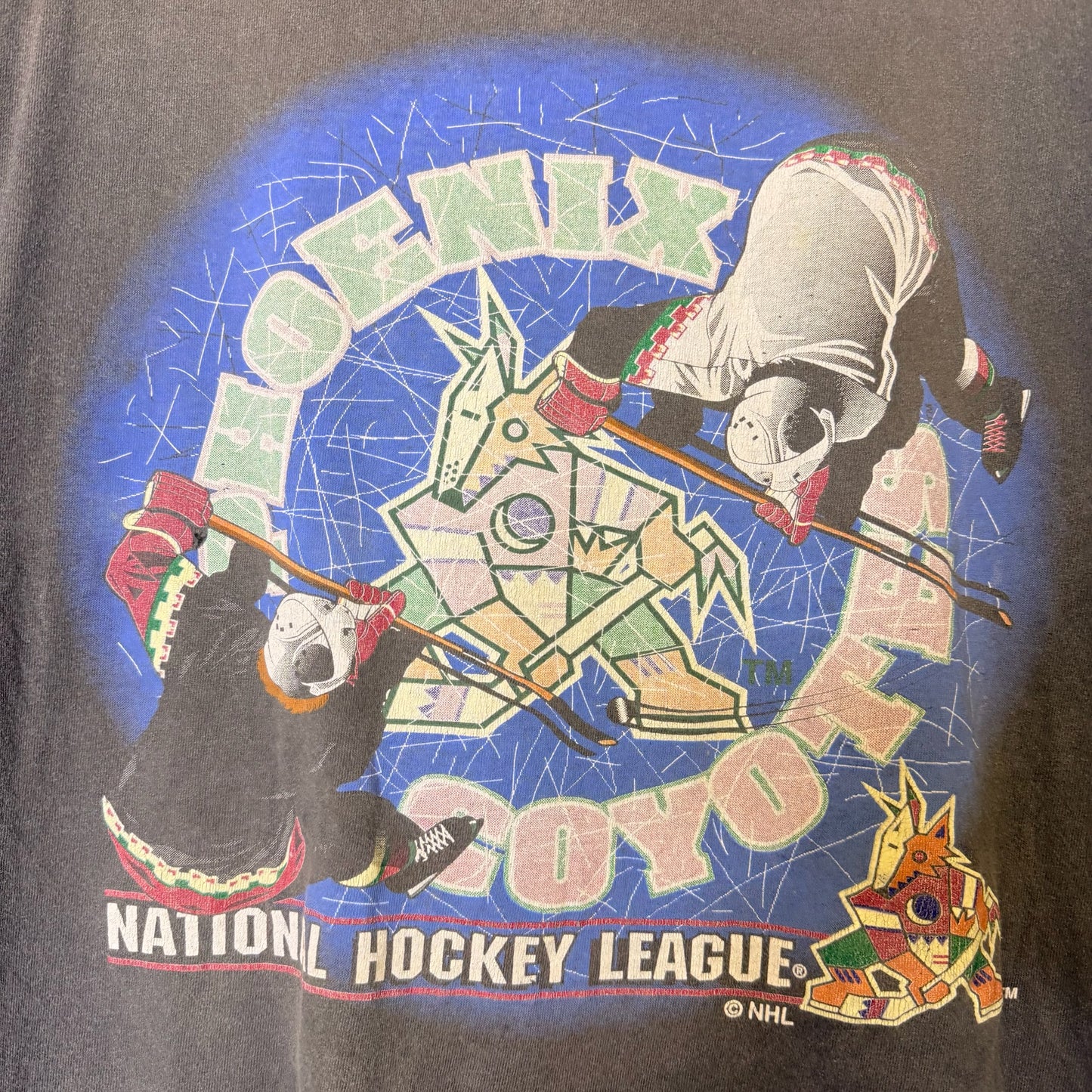 90's Phoenix Coyotes NHL Hockey T-Shirt Sz L (B2542)