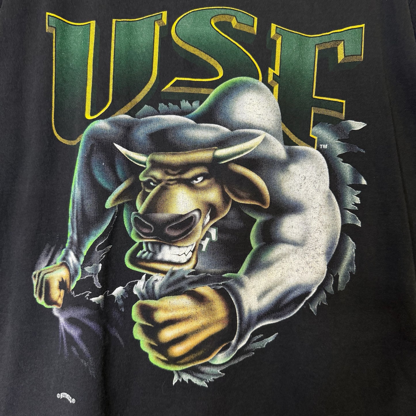 90's Nutmeg Breakthrough USF Bulls T-Shirt Sz (B2587)