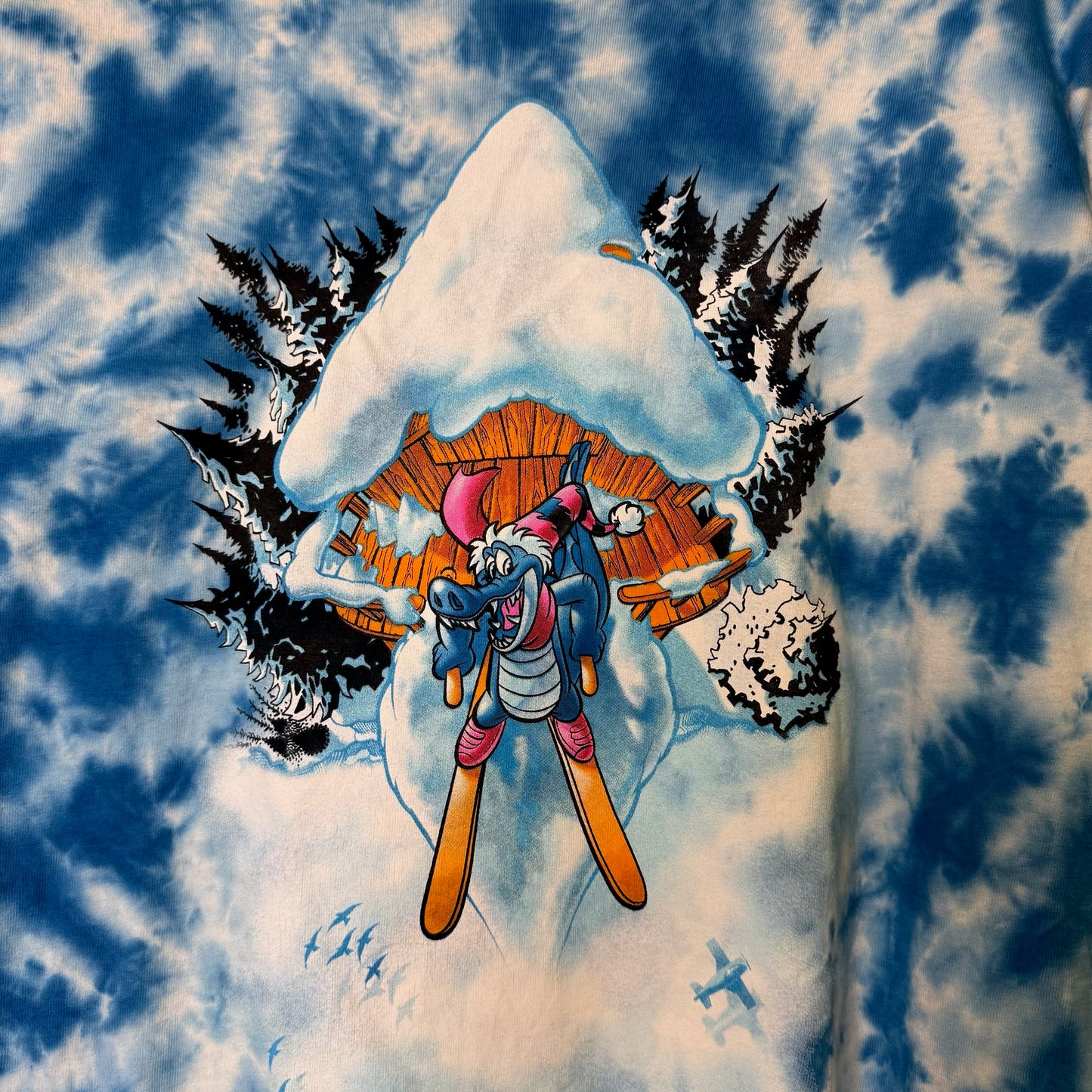 90s Blizzard Beach Disney T-shirt Sz L (B1699)