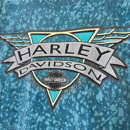 1993 Harley Davidson Hall's Springfield T-Shirt Sz L (B237)