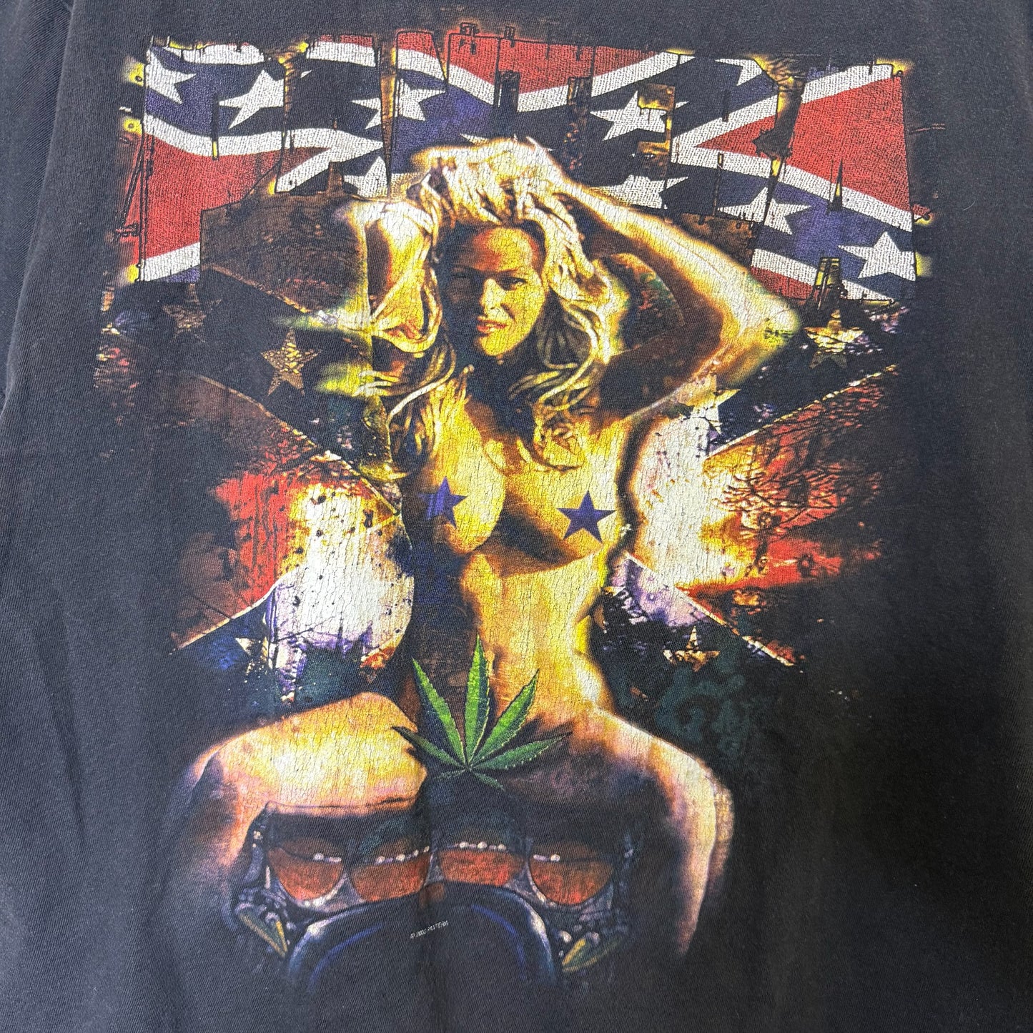 2000 Pantera Weed Girl T-Shirt Sz L (B436)