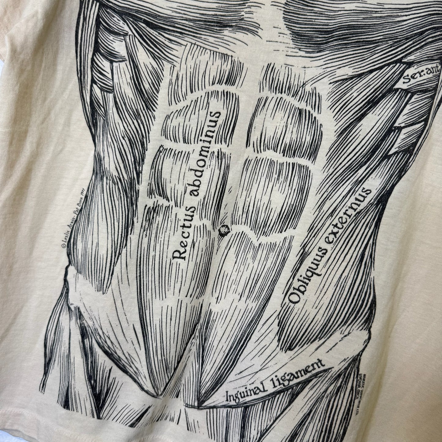 1977 Muscular System Leslie Arwin T-Shirt Sz L (B452)