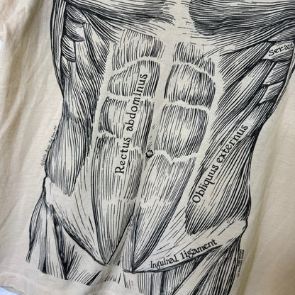 1977 Muscular System Leslie Arwin T-Shirt Sz L (B452)