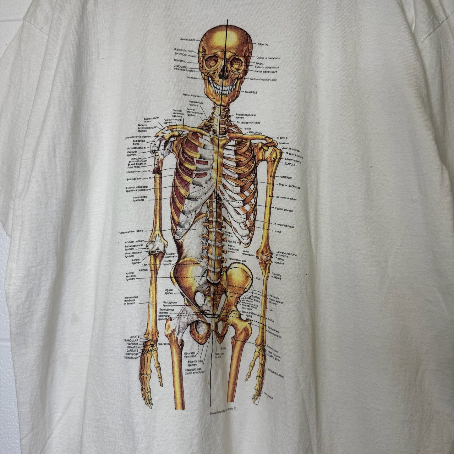 90’s Anatomical Chart Skeleton T-shirt Sz XL (B1769)