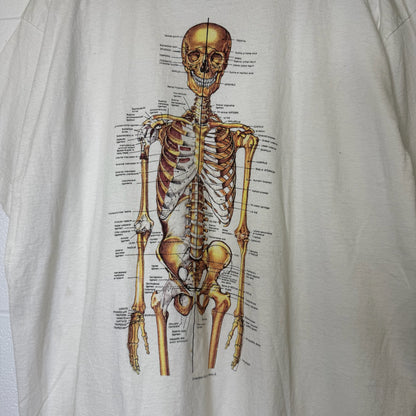 90’s Anatomical Chart Skeleton T-shirt Sz XL (B1769)