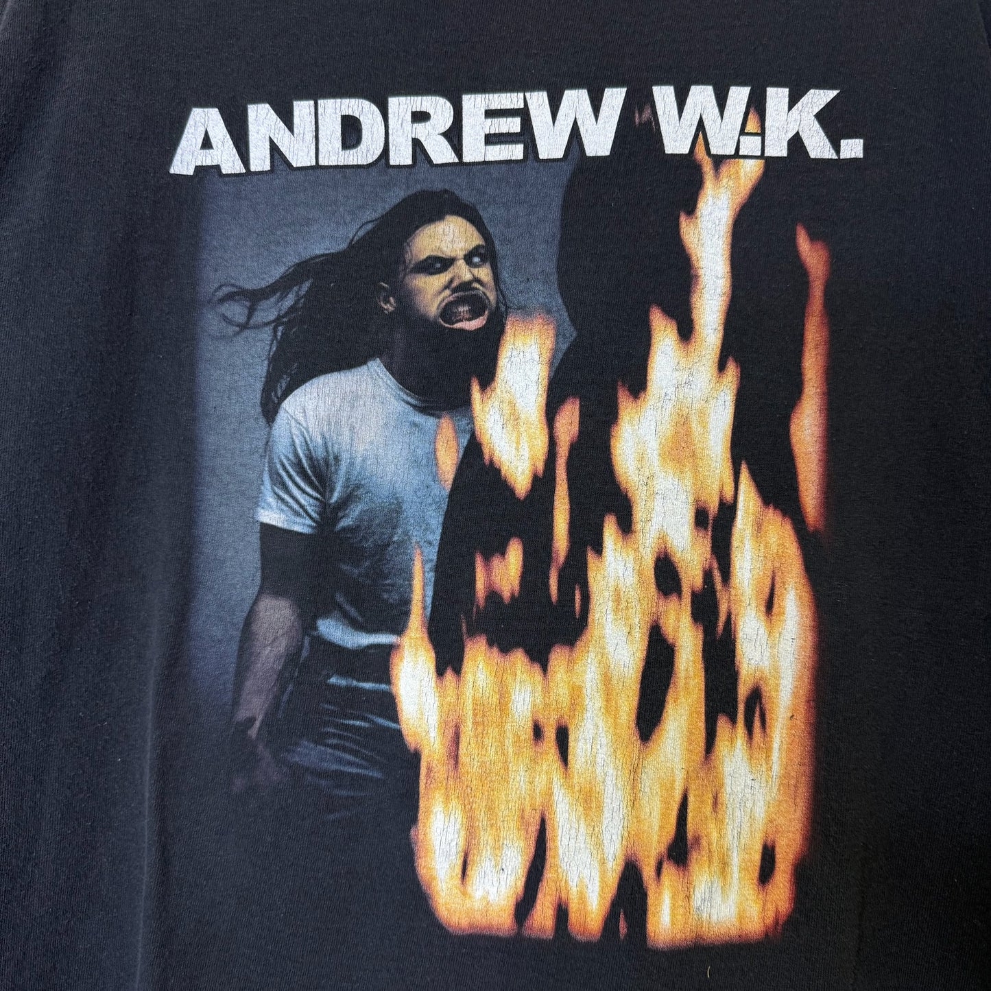 2000s Andrew WK T-Shirt Sz L (B2244)
