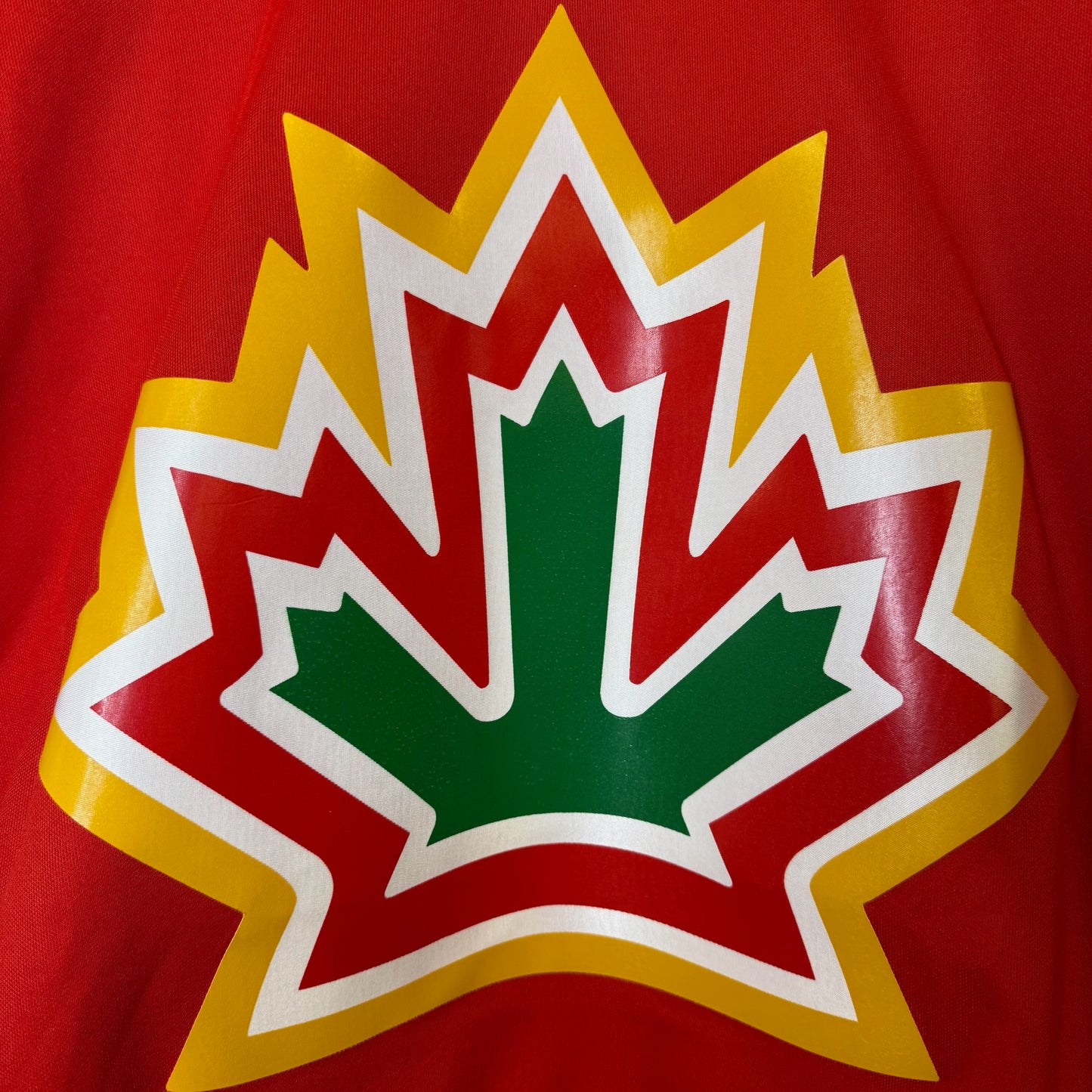 2000 Nike Team Canada 1977 Repica Jersey Sz M New with Tags (B1791)