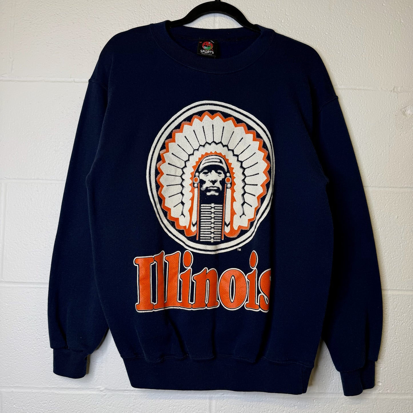 90s University of Illinois Crewneck Sz M (A2562)