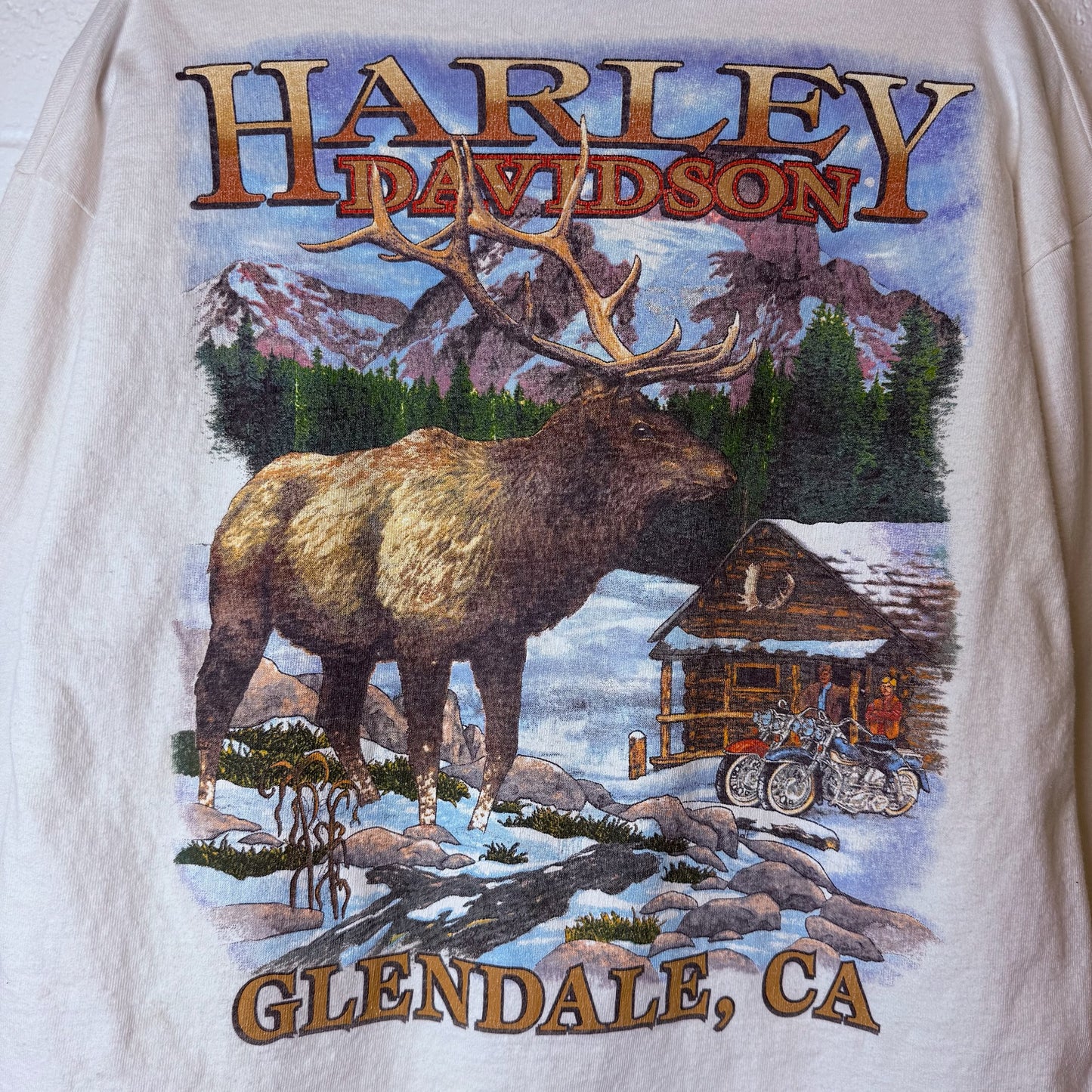 1995 Harley Davidson Glendale CA Long Sleeve Shirt Sz L (B2385)