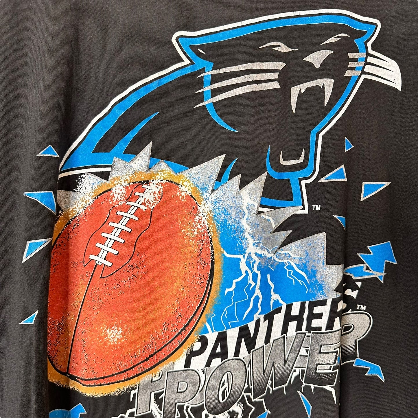 1993 Carolina Panthers NFL T-Shirt Sz XL (A1873)