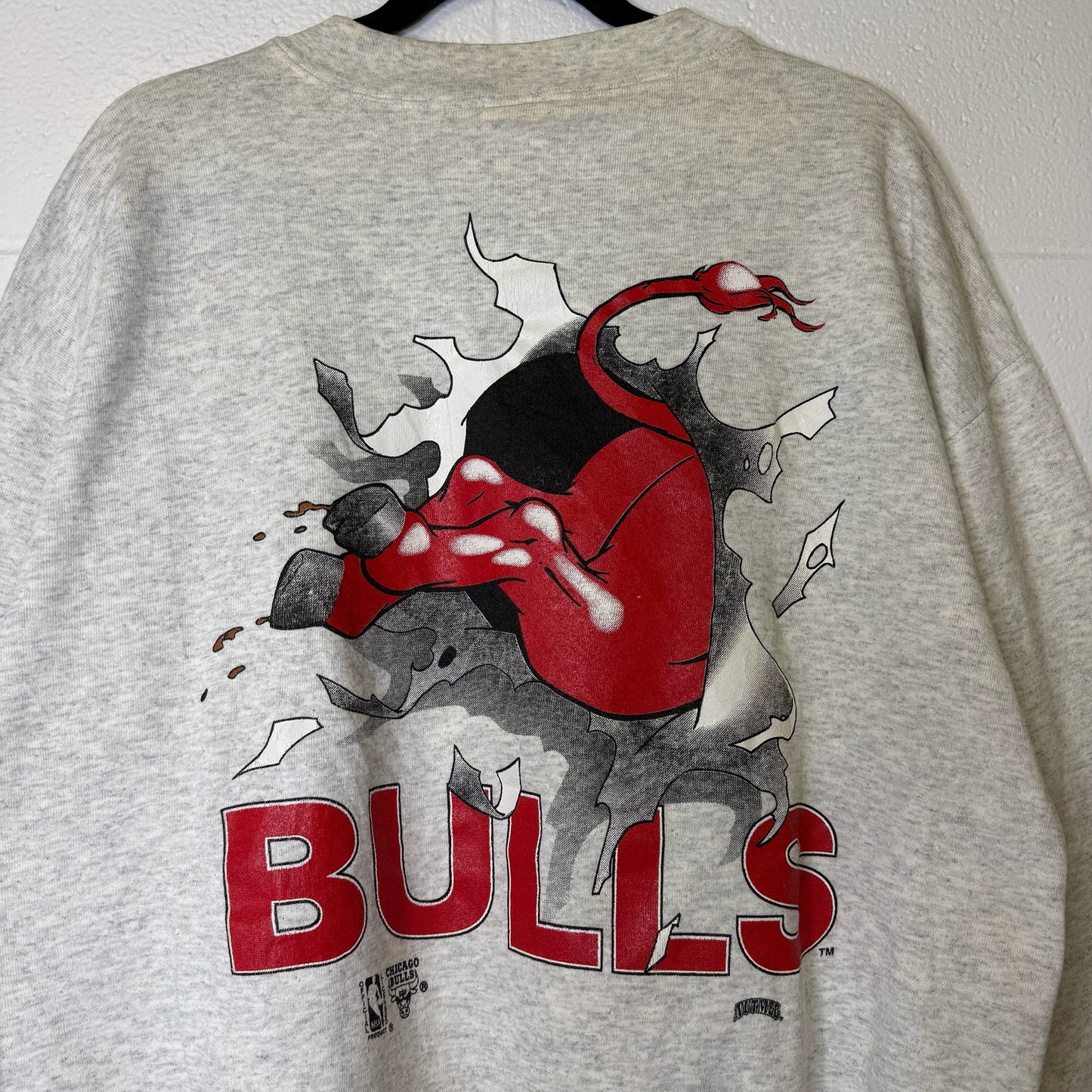 90s Chicago Bulls NBA Nutmeg Breakthrough Crewneck Sz L (B2086)
