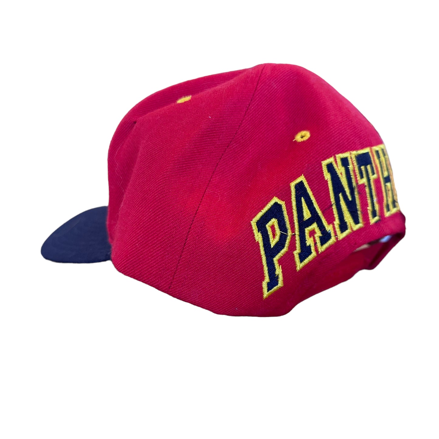 90s Florida Panthers American Needle Blockhead SnapBack Hat