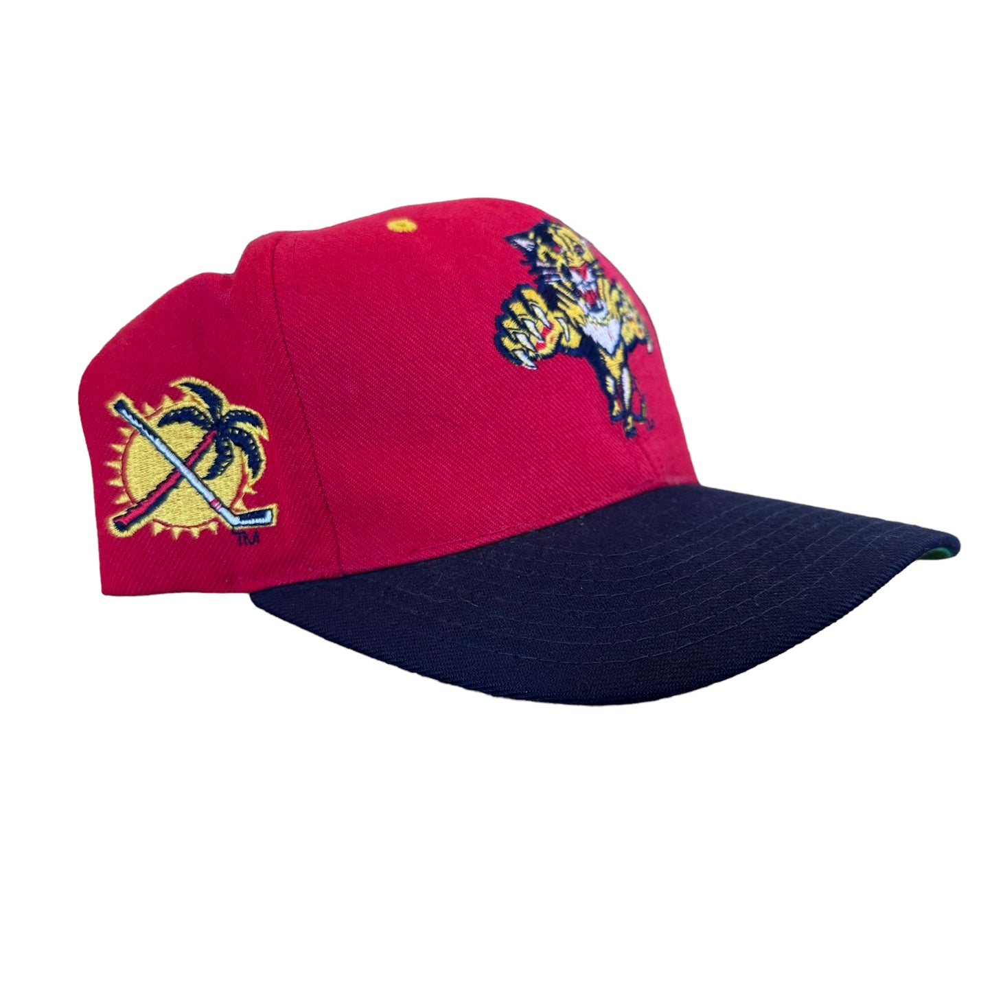 90s Florida Panthers American Needle Blockhead SnapBack Hat