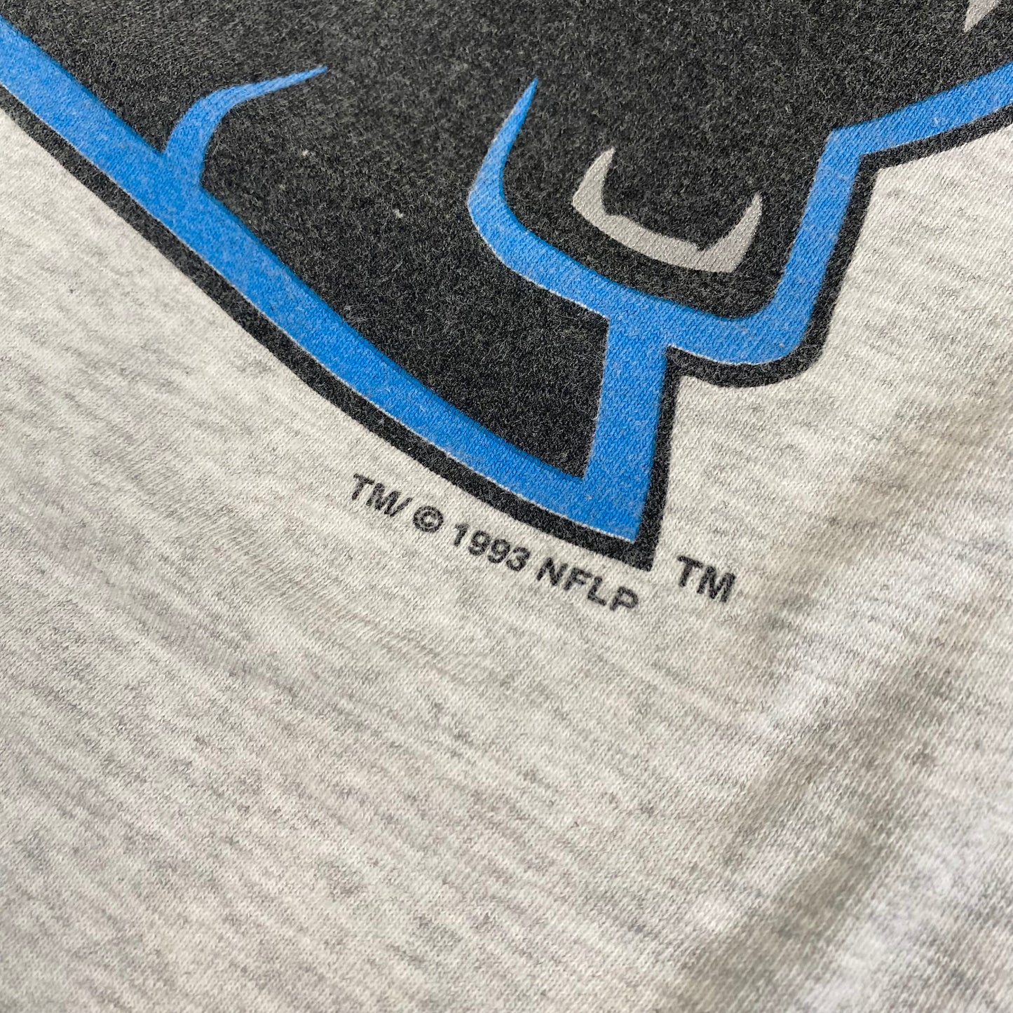 1993 Carolina Panthers T-shirt Sz L (L902)